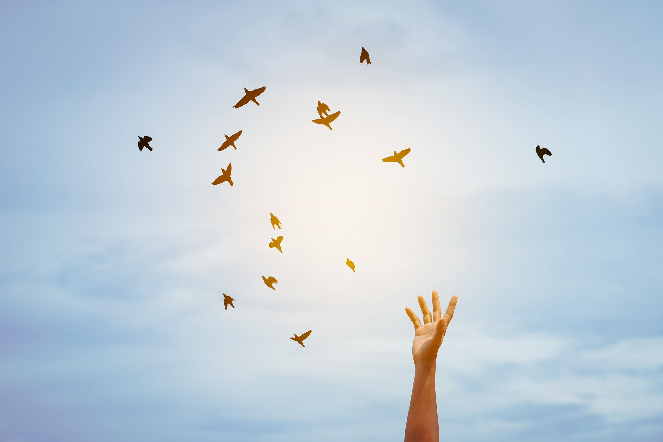 approche-decodage-adulte-bien-naitre-holistique.